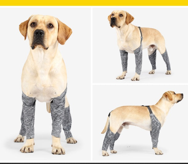 Doughton's New Doggie Outdoor Four-Legged Pants