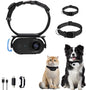 Pet Recorder HD Mini Camera Magnetic Suction